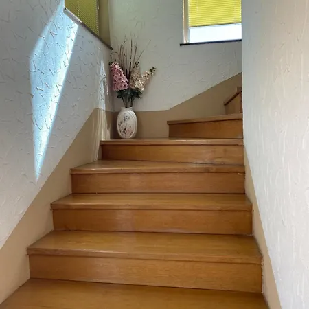 Vionica